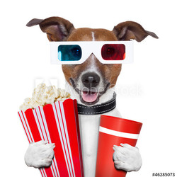 3d glasses movie popcorn dog