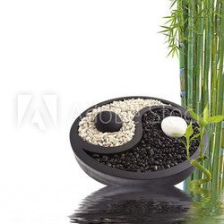 yin yang bambou bien-être