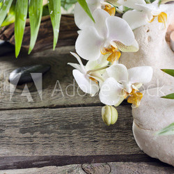 Orchids candle and stones on wooden boards background