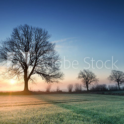 Sonnenaufgang