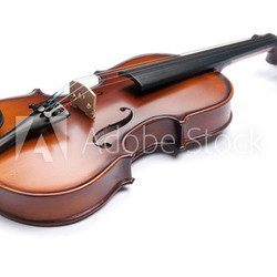 Violine
