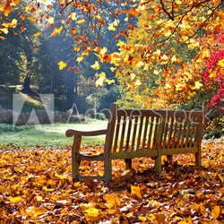 Bench in autumn park.