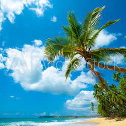 Tropical beach