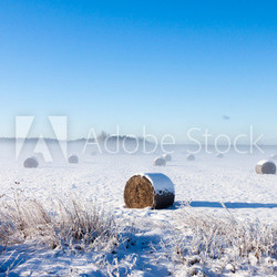 Heuballen im Schnee