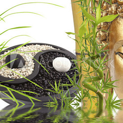 composition zen, bouddha, bambou, yin yang
