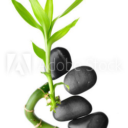 zen stones