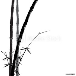 Hand drawn illustration of a bamboo black on white background.