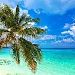 Tropical beach