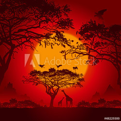 African sunset