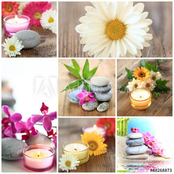 Collage Wellness