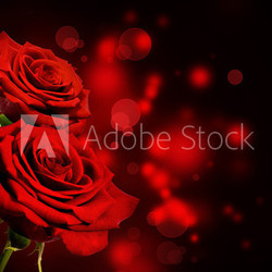 Red roses Valentine background