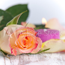 einzelne Rose mit Kerze