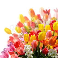 Spring awakening: floral bouquet with tulips and daffodils