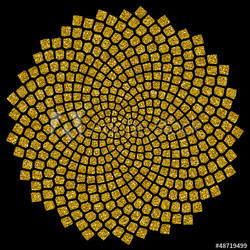 Sonnenblumen - Samen - Fibonacci-Spirale - Goldener Schnitt