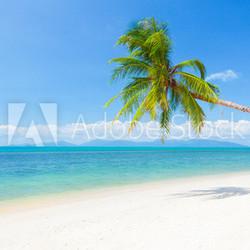 beautiful beach with coconut palm and sea