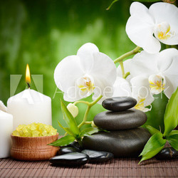 spa concept