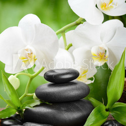 spa concept