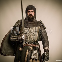 Medieval knight with sword and shield