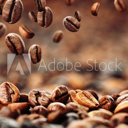 Kaffeebohnen 4