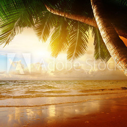 sunrise on Caribbean beach