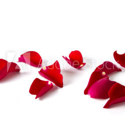 Rosenblätter