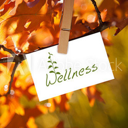 Wellness