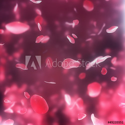 valentine  background with falling red rose petals on black bg