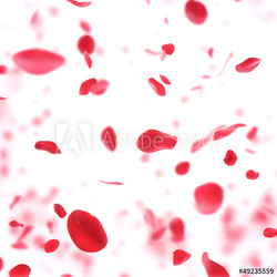 valentine  background with falling red rose petals