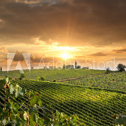 Chianti vineyard landscape in Tuscany, Italy