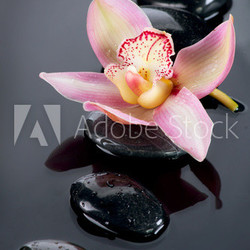 Spa Stones and Orchid Flower over Dark Background