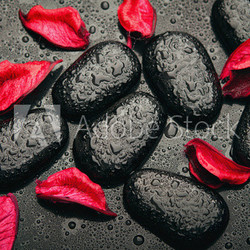 background spa. black stones and red petals with water droplets