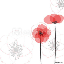 Poppy