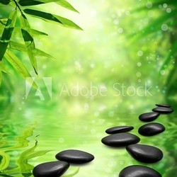 Zen Bamboo ,pebbles,sun and water.