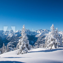 Winter in den Bergen