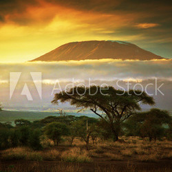 Mount Kilimanjaro. Savanna in Amboseli, Kenya