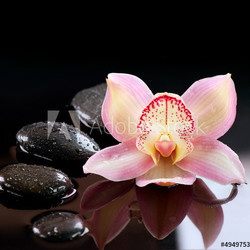 Zen Stones and Orchid Flower. Stone Massage