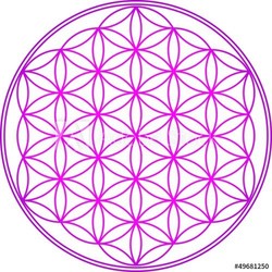 Blume des Lebens - Heilige Geometrie - Vektor Pink