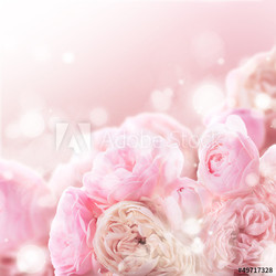 Pink roses bunch