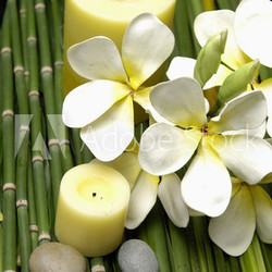 frangipani flower and candles and stone on bamboo