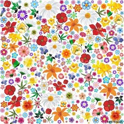 Bunte Blumen