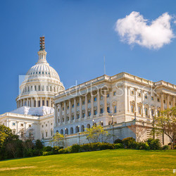 US Capitol at sunny day