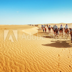 Sahara desert