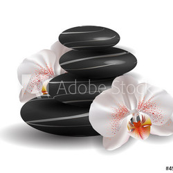 Orchids and zen stones