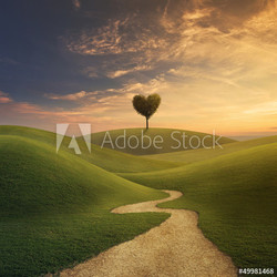 Tree heart on hill