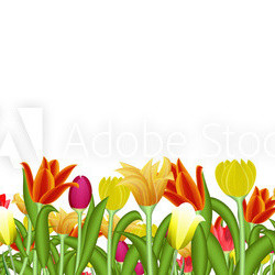Blumenwiese