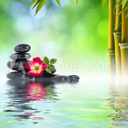 Pietre Zen, rosa e bambù in acqua