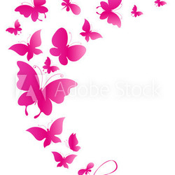 butterfly,butterflies vector