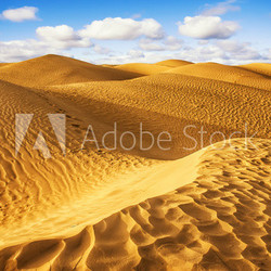 Sahara desert - Douz, Tunisia.