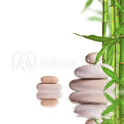 Spa still life with lava stones and bamboo sprouts 