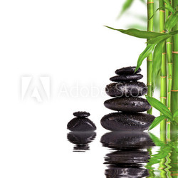 Spa still life with lava stones and bamboo sprouts 